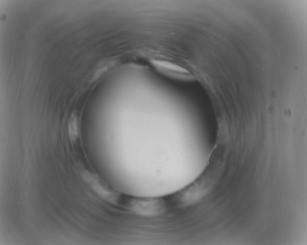 X0000083060479200702232026