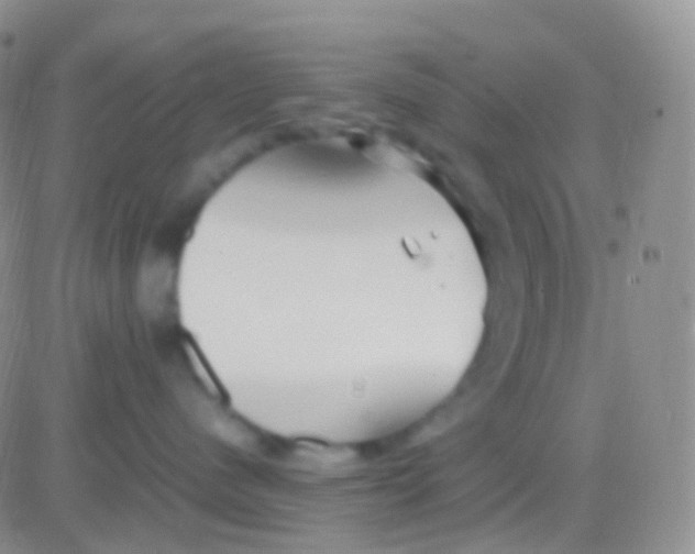 X0000083060480200702232026