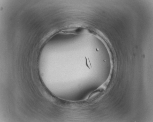 X0000083060481200702232025