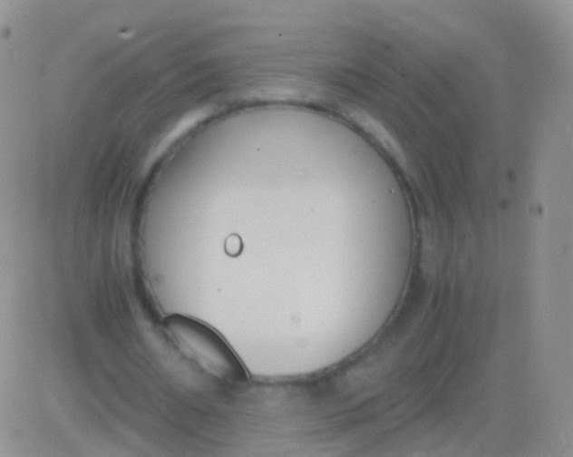 X0000083060482200702232025