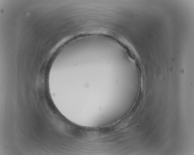 X0000083060483200702232025