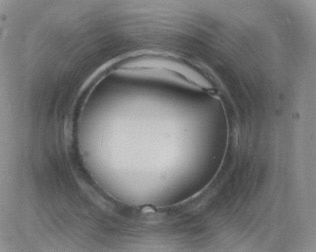 X0000083060484200702232025