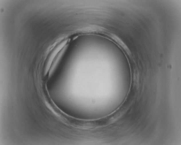 X0000083060485200702232025