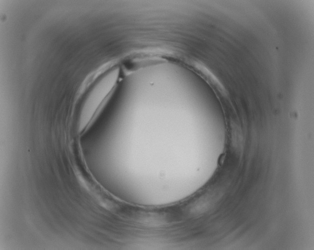 X0000083060486200702232025