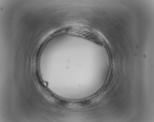 X0000083060487200702232025