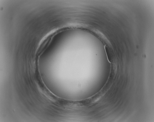 X0000083060488200702232025