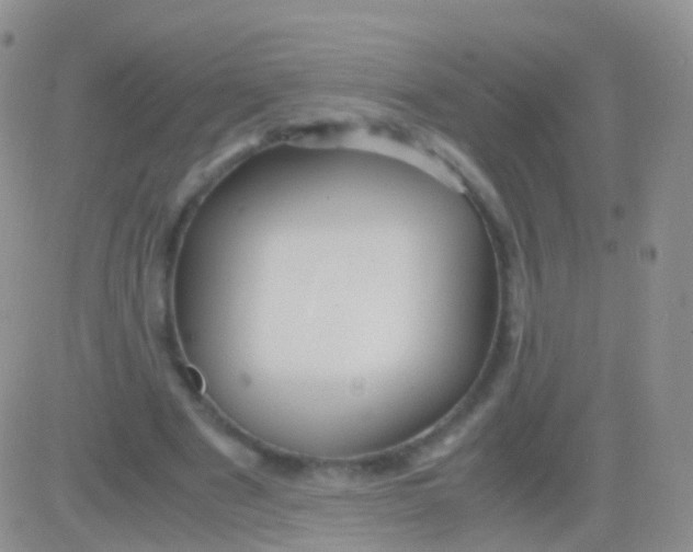 X0000083060489200702232025