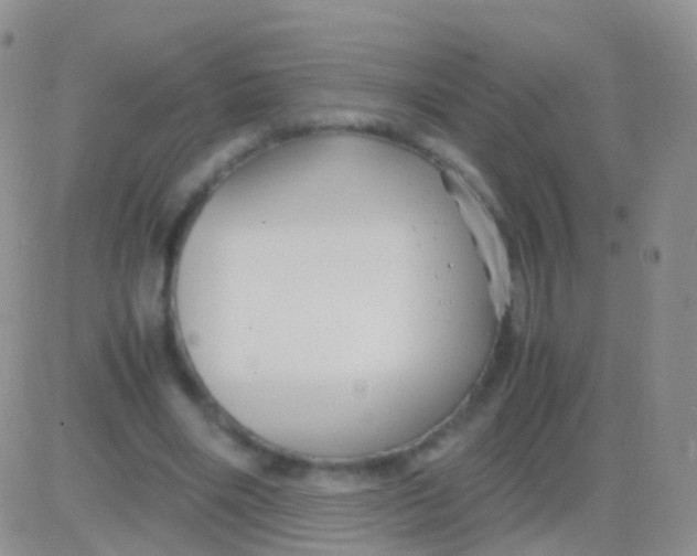 X0000083060490200702232025