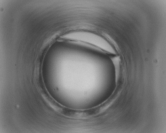 X0000083060493200702232025