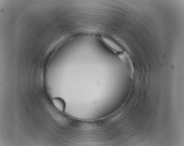 X0000083060494200702232025