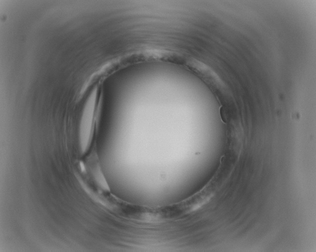 X0000083060496200702232025