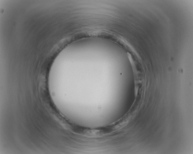 X0000083060497200702232025