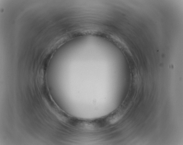 X0000083060498200702232025