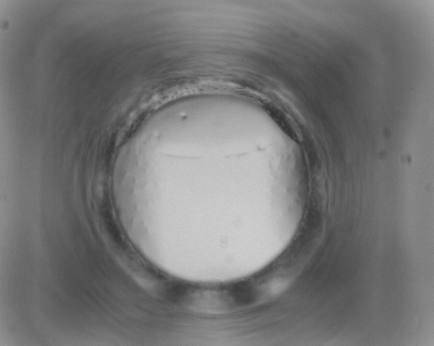 X0000083060499200702232025