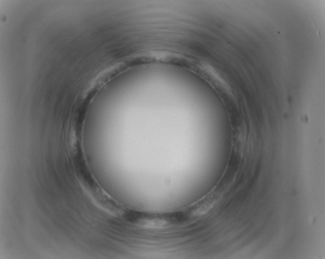 X0000083060500200702232025