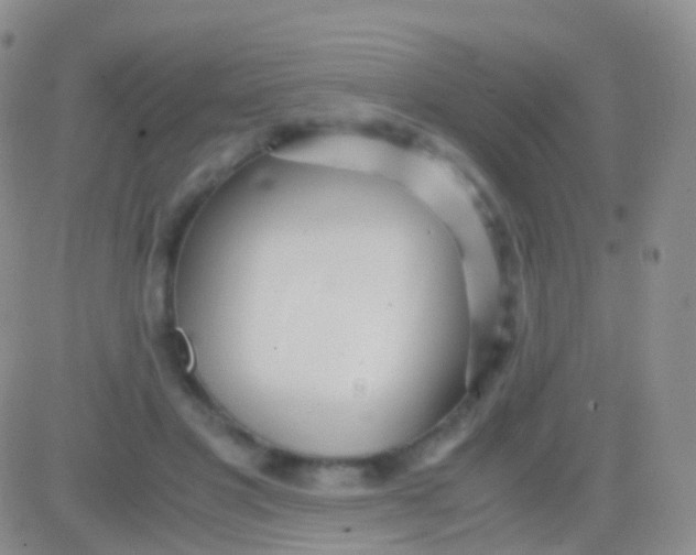 X0000083060501200702232025