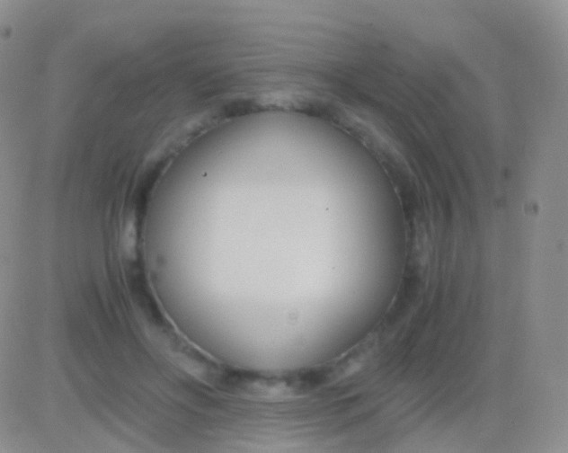 X0000083060502200702232025