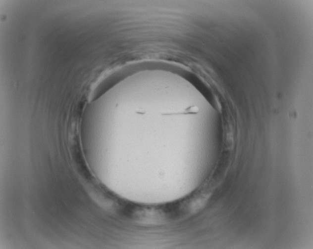 X0000083060503200702232025