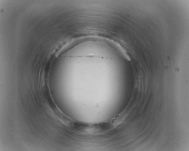 X0000083060504200702232025