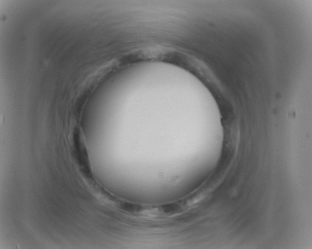 X0000083060505200702232025