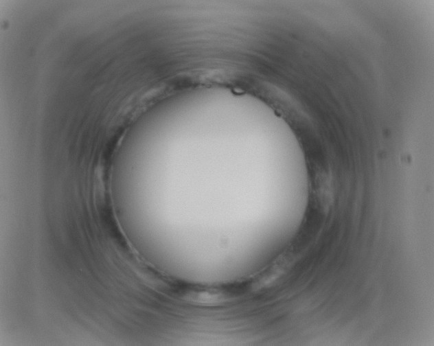 X0000083060506200702232025