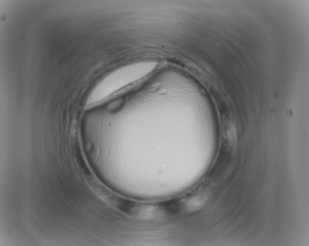 X0000083060507200702232025