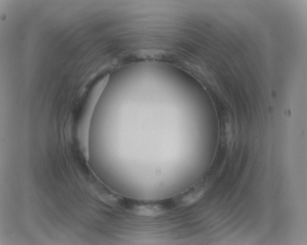 X0000083060508200702232025