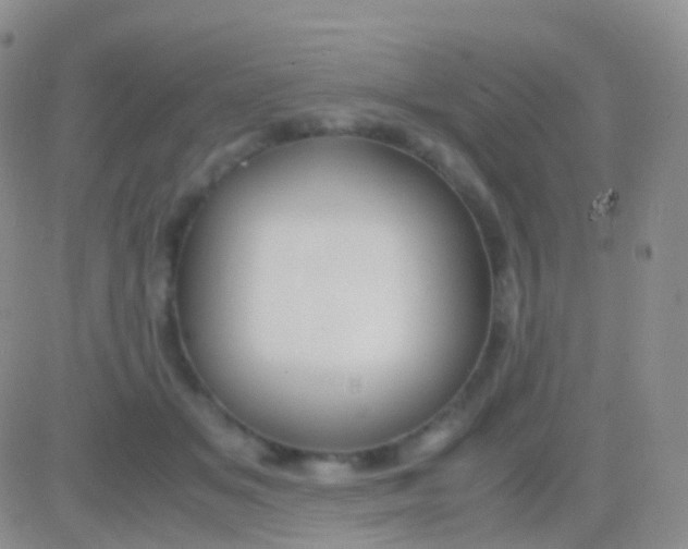 X0000083060509200702232025