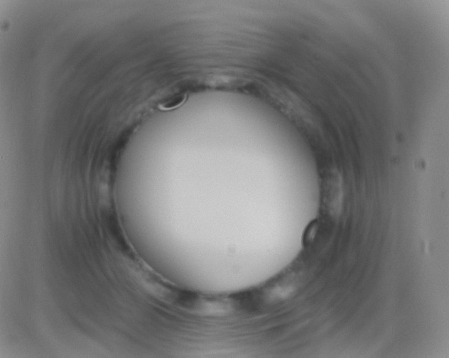 X0000083060510200702232025