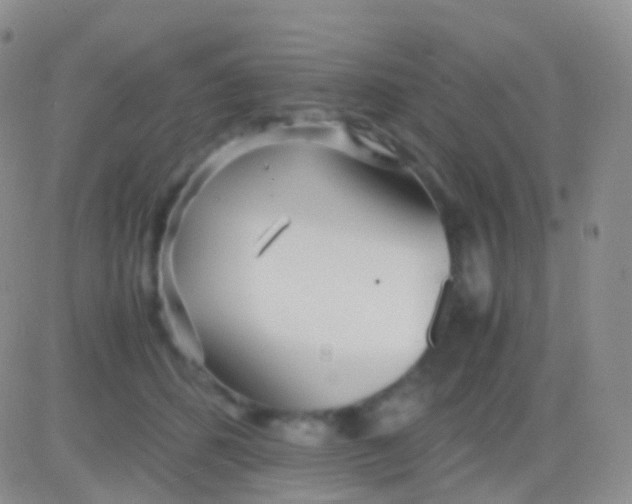 X0000083060512200702232024