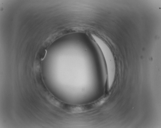 X0000083060513200702232024