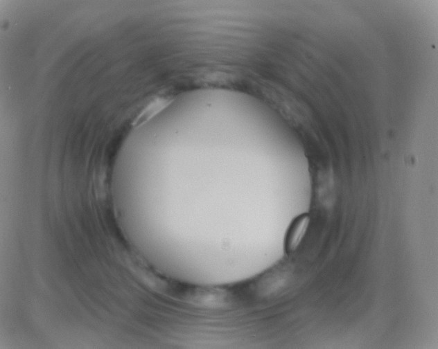 X0000083060514200702232024