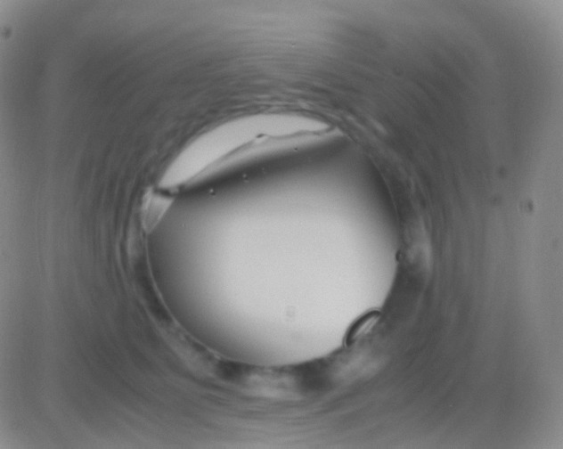 X0000083060515200702232024