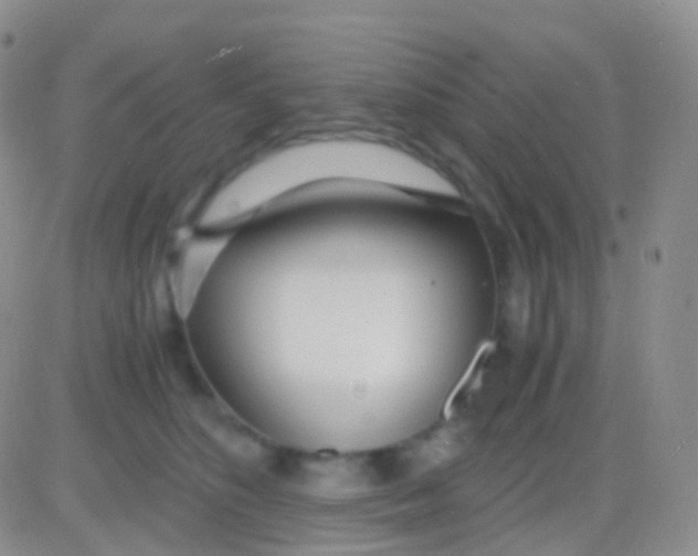 X0000083060516200702232024