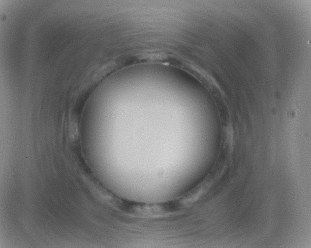 X0000083060517200702232024