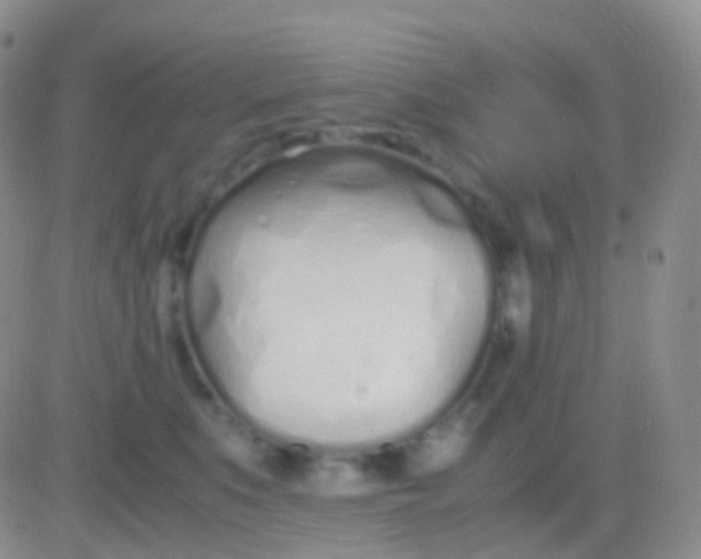 X0000083060519200702232024