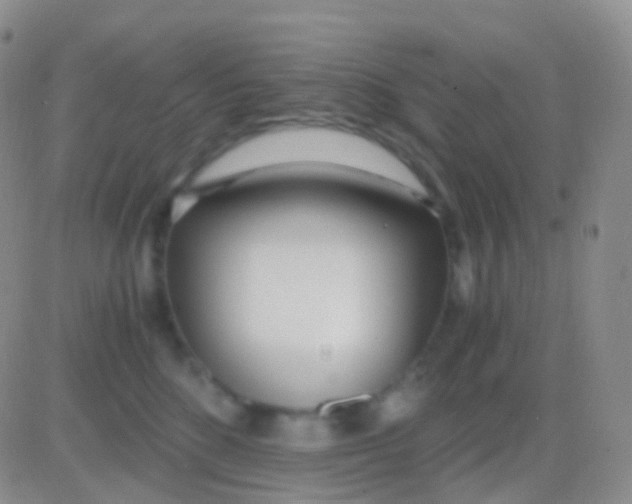 X0000083060520200702232024