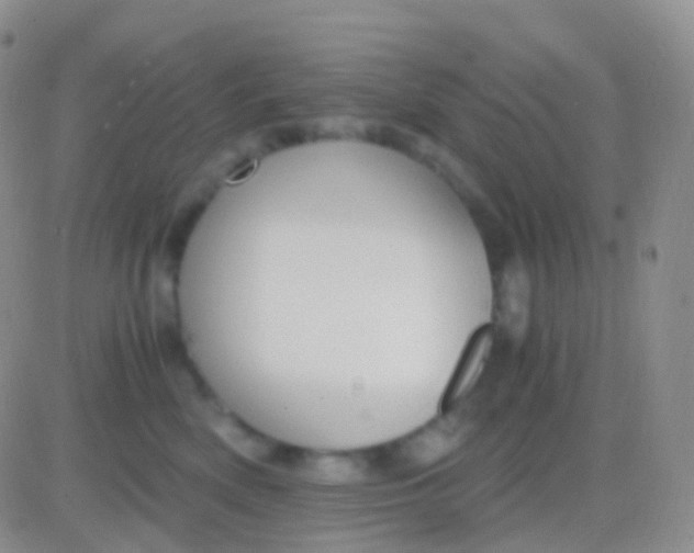 X0000083060522200702232024