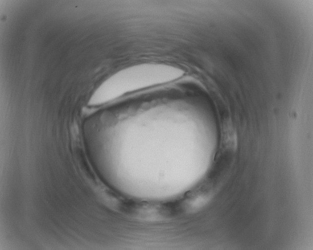 X0000083060523200702232024