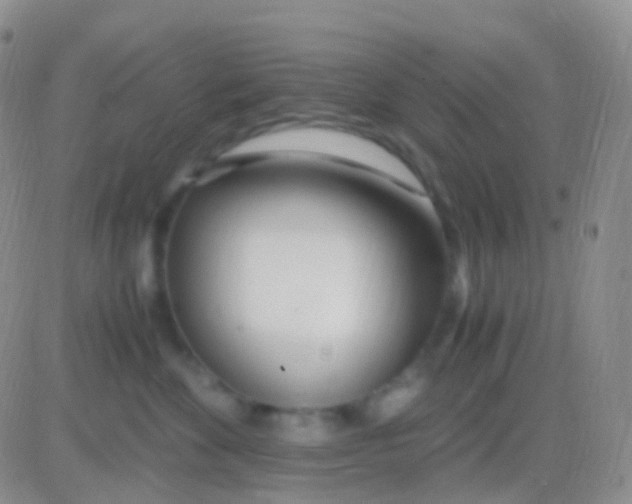 X0000083060524200702232024