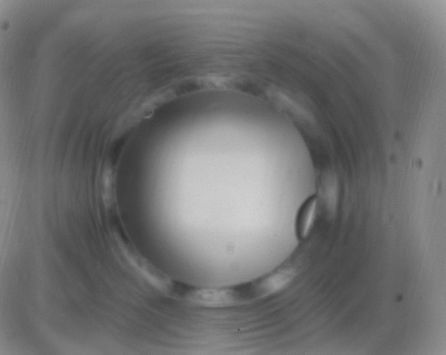 X0000083060526200702232024