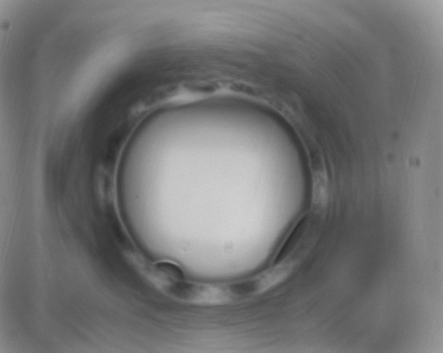 X0000083060527200702232024