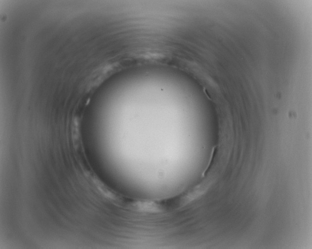 X0000083060528200702232024