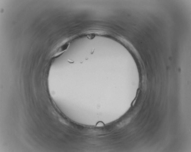 X0000083060529200702232023