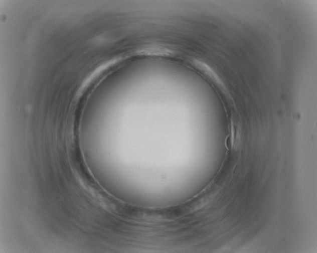 X0000083060531200702232023