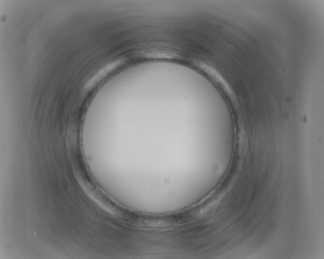 X0000083060533200702232023