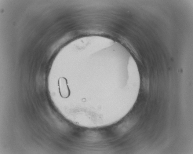 X0000083060534200702232023