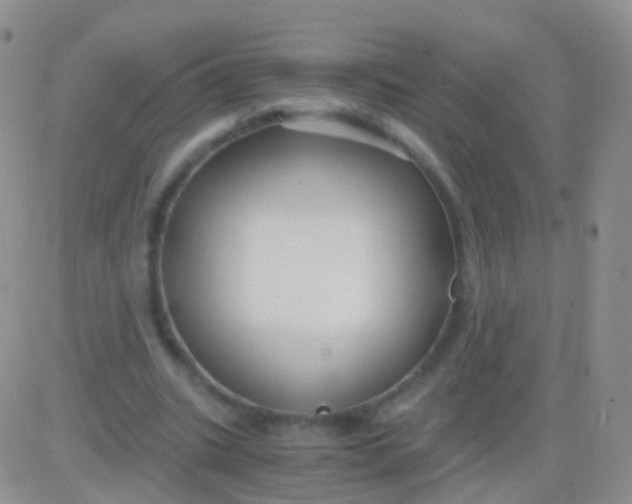 X0000083060535200702232024