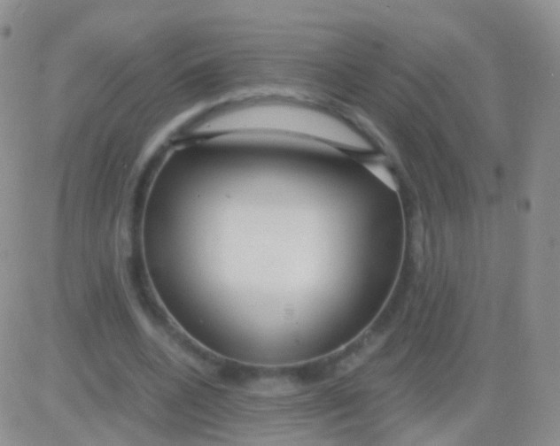 X0000083060536200702232024