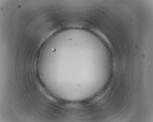 X0000083060537200702232024